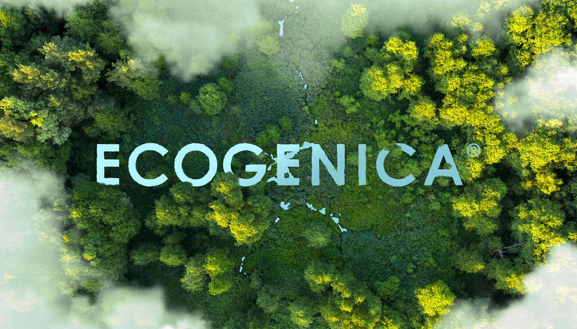 Ecogenica Forest Aerial Banner